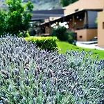 Hotel Rural El Mondalon