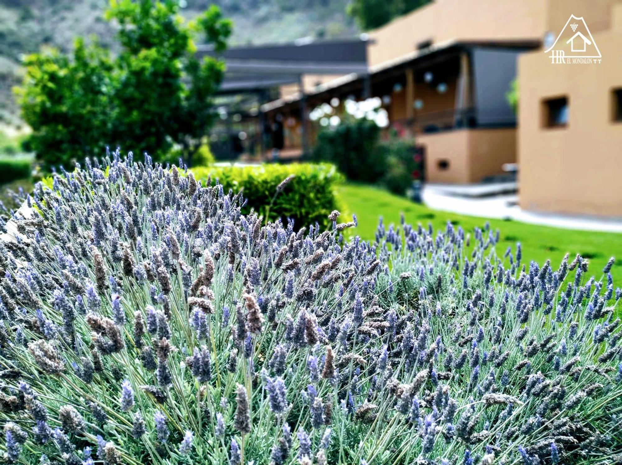 Rural El Mondalon 4*