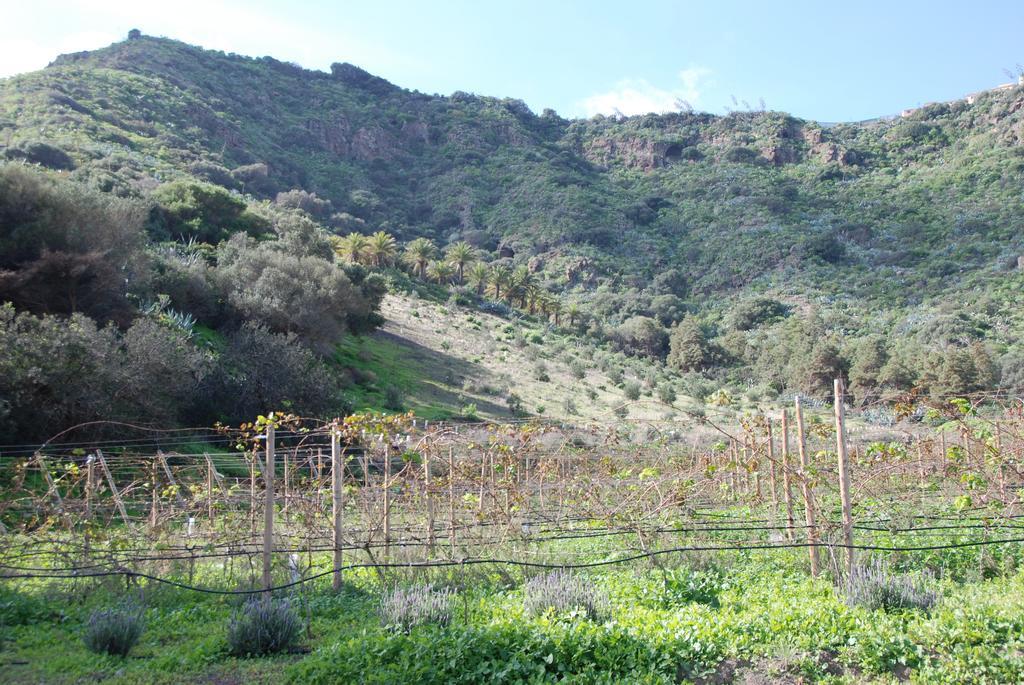 Rural El Mondalon
